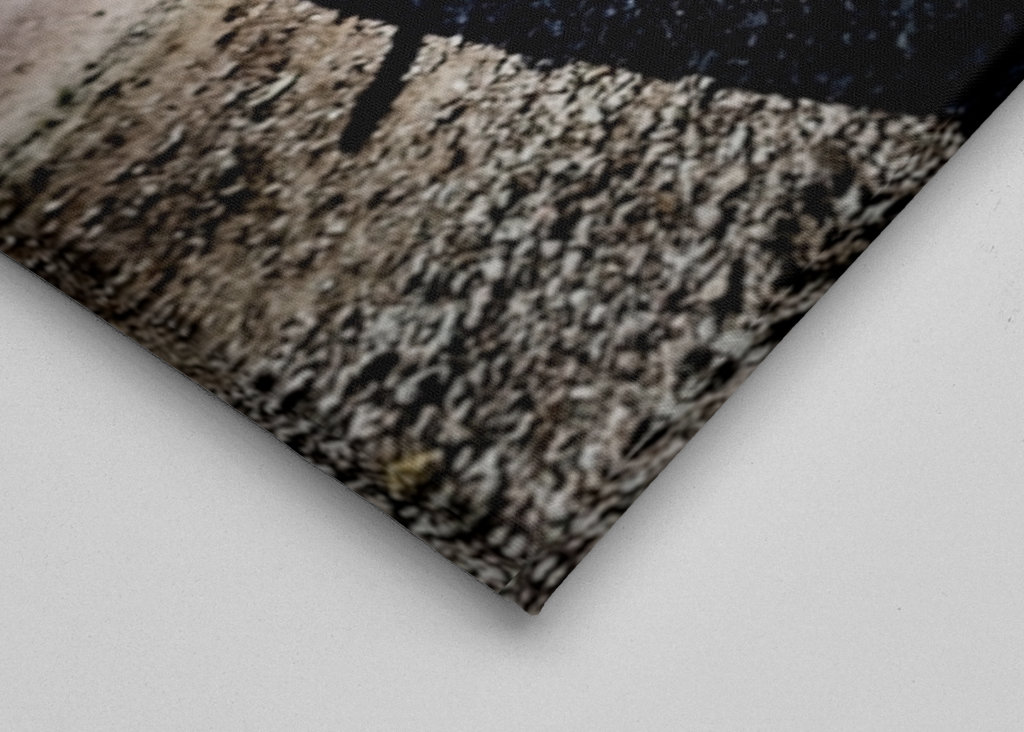 SAAB 9-3 Auta a káva