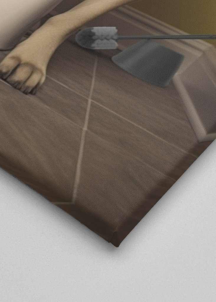 Žlutý labrador na záchodě