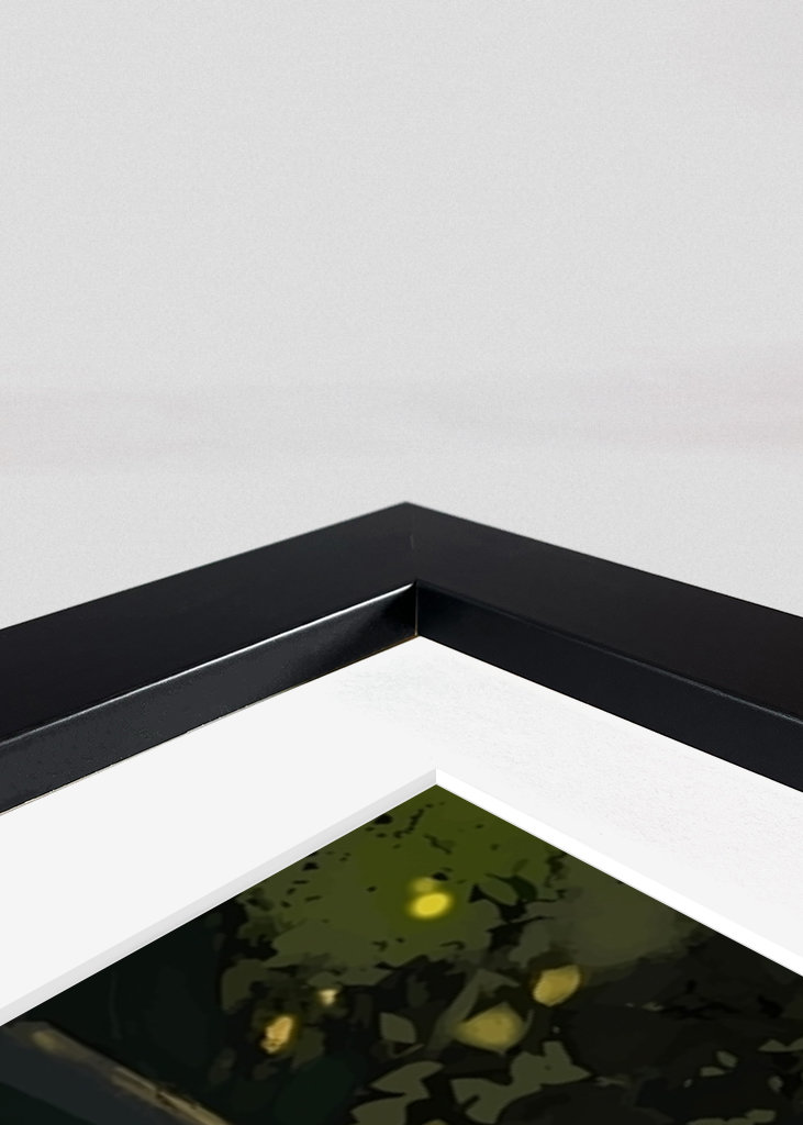 Totoro Studio Ghibli