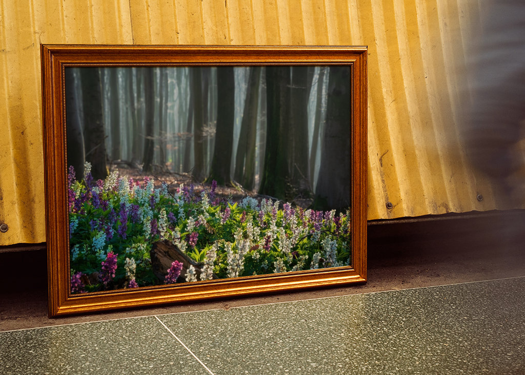 In the light of spring