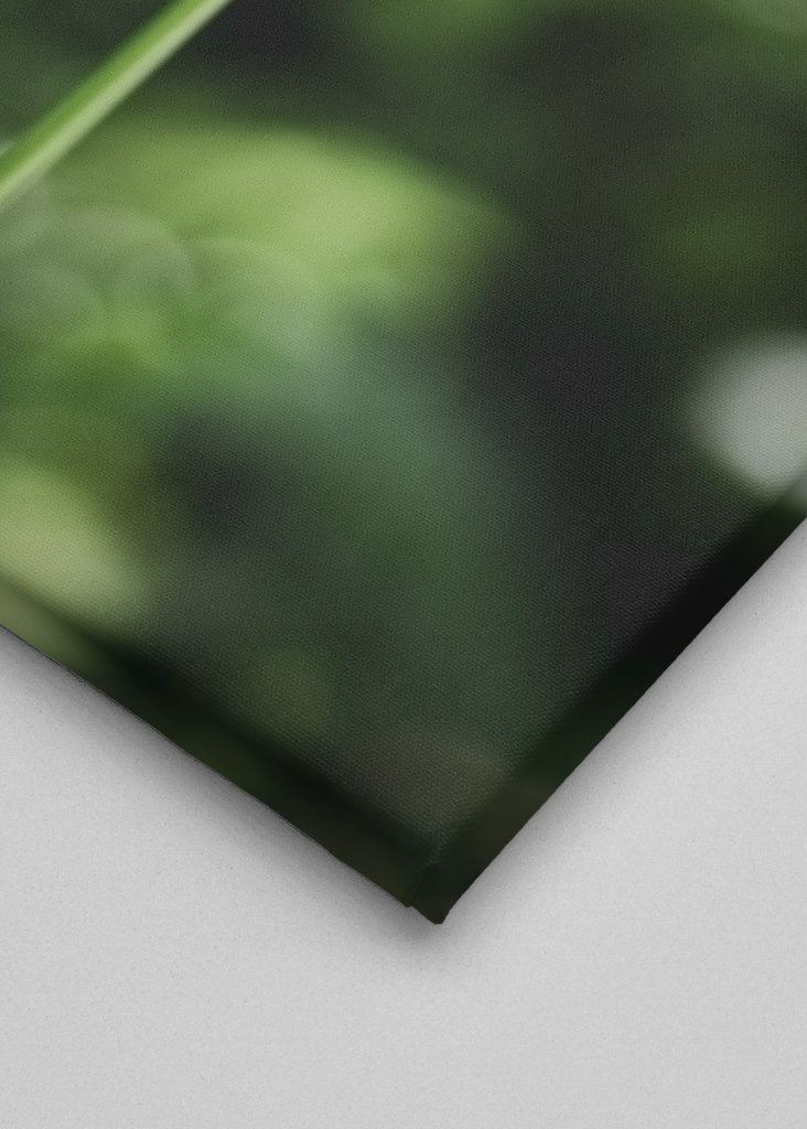 POP! Blomst med energi