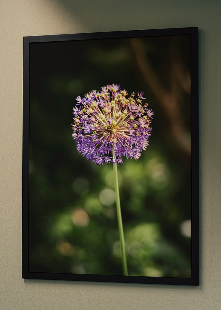 POP! Blomst med energi