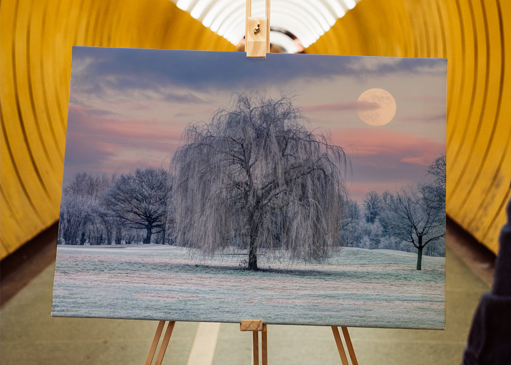 Tree Covered in Frost