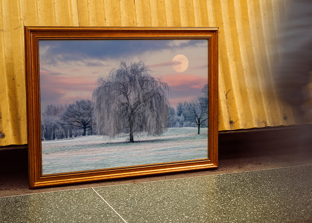 Tree Covered in Frost