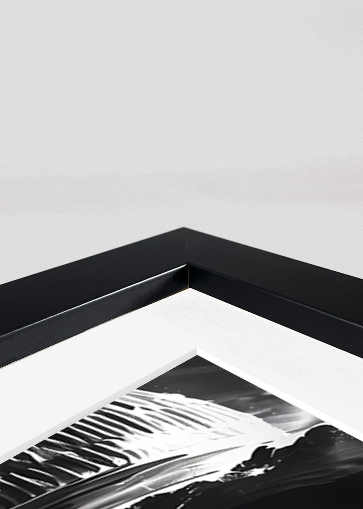 Ruffy König der Piraten	