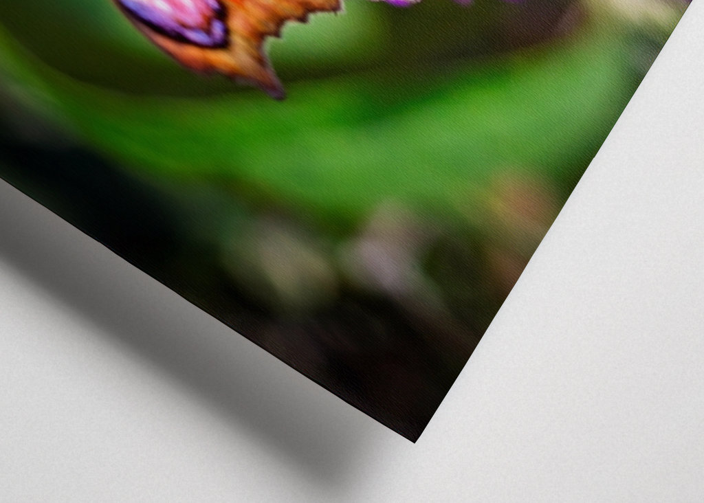 Pávie oko na motýľom kríku