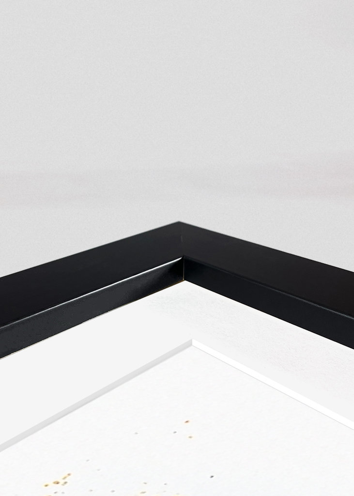 Kapitány festménye 