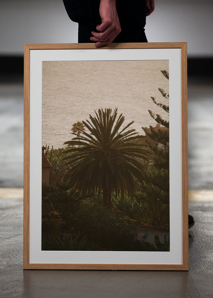 Sonnenuntergangspalme