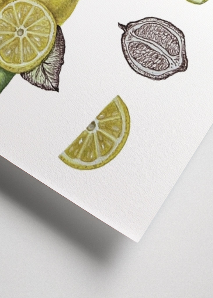 Botanical Lemon