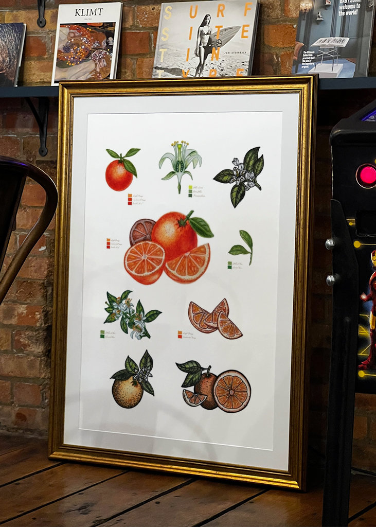 Botanické oranžové ovoce