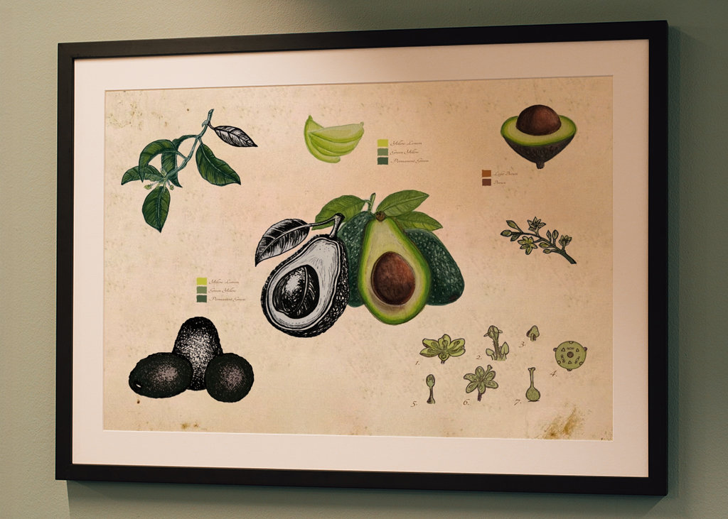 Vintage botanické avokádo