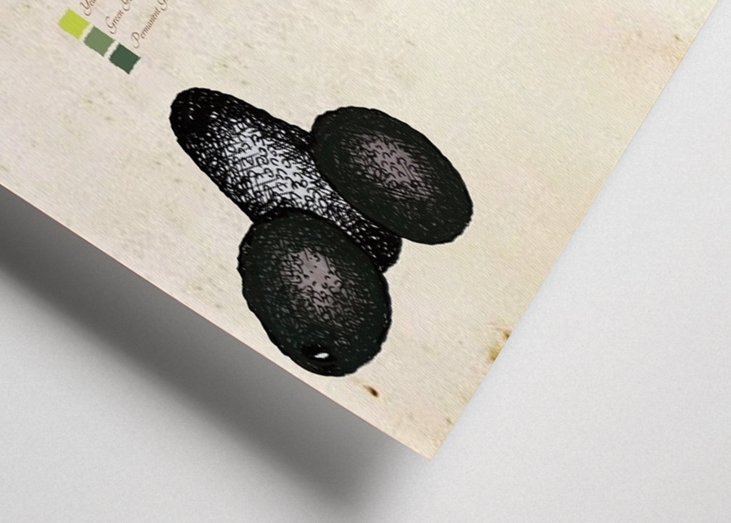 Vintage botanické avokádo