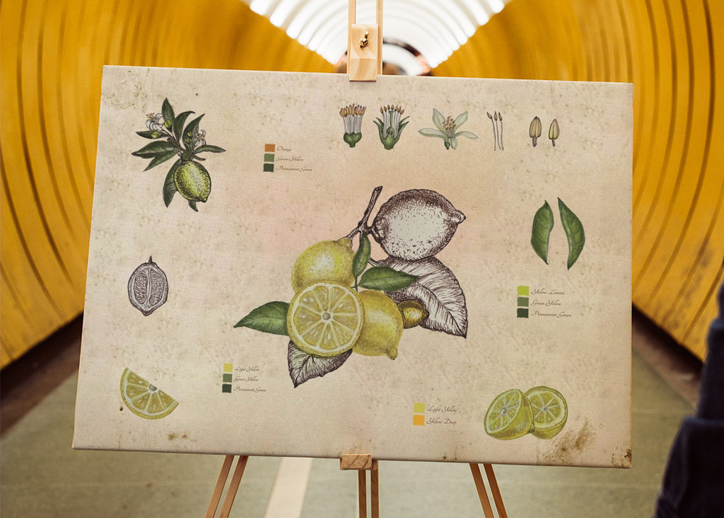 Vintage botanický citron