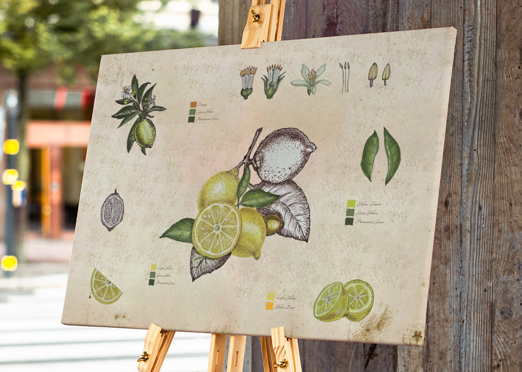 Vintage botanický citron