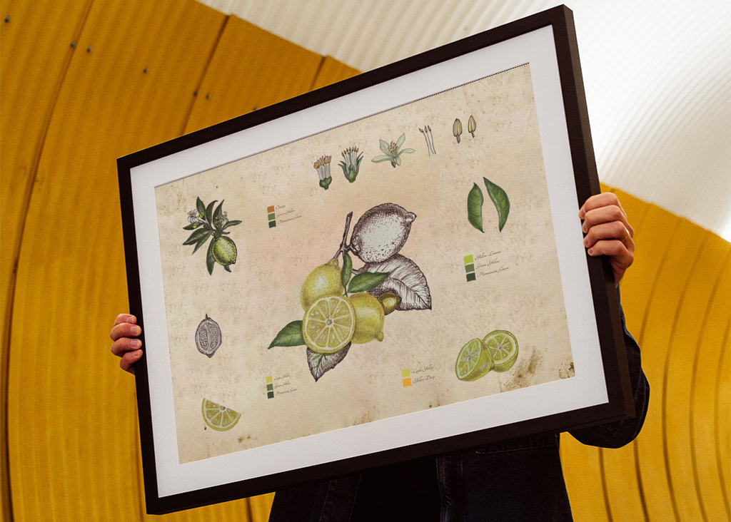 Vintage botanický citron