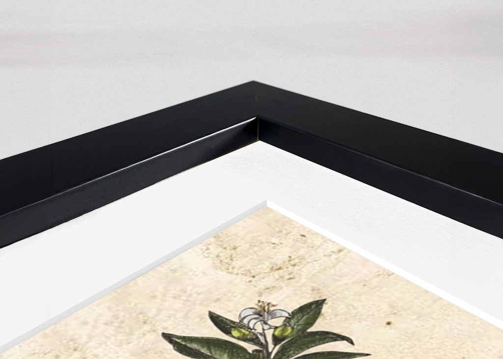 Vintage botanický citron