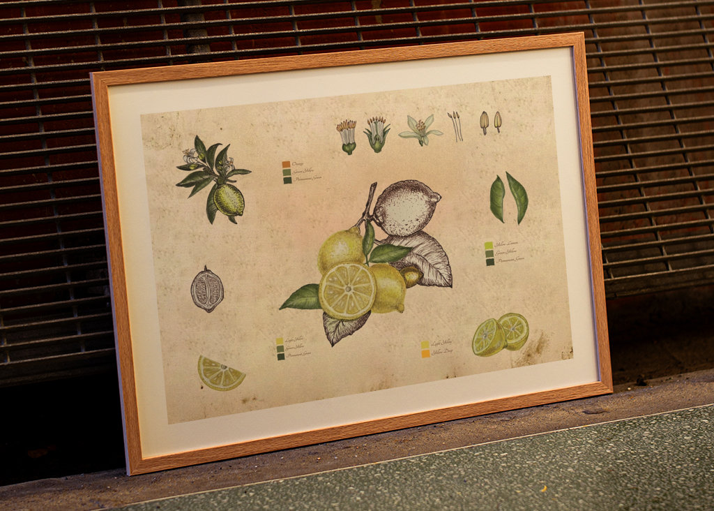 Vintage botanický citron