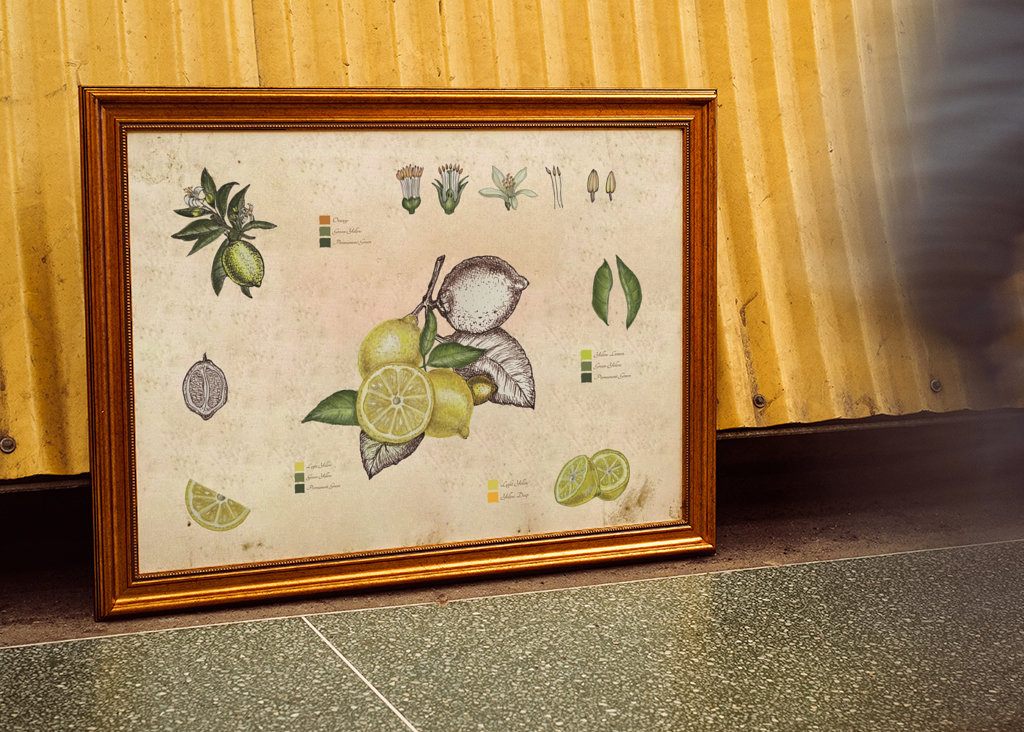 Vintage botanický citron