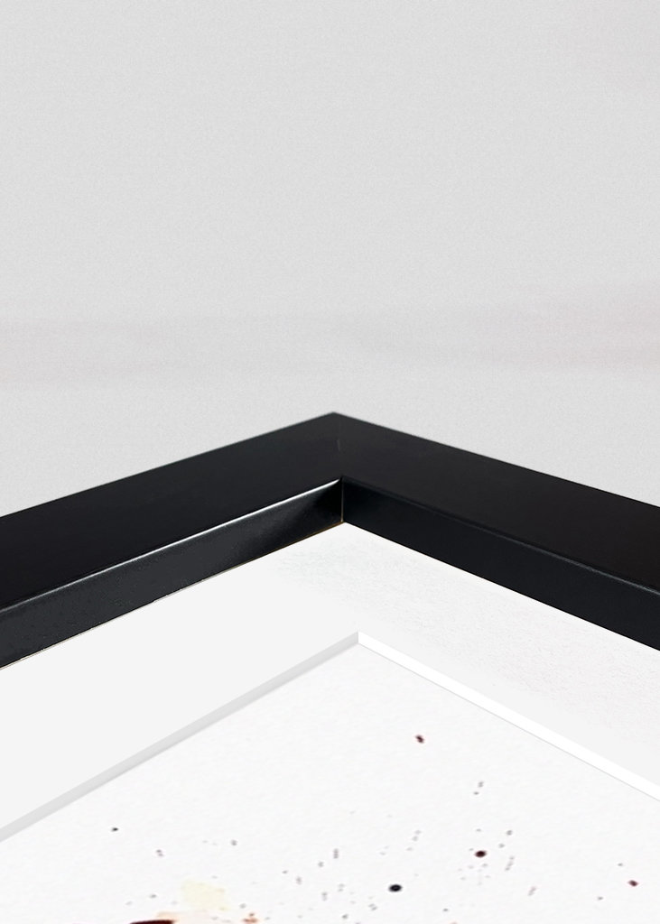 Akvarel Zvíře Barevné