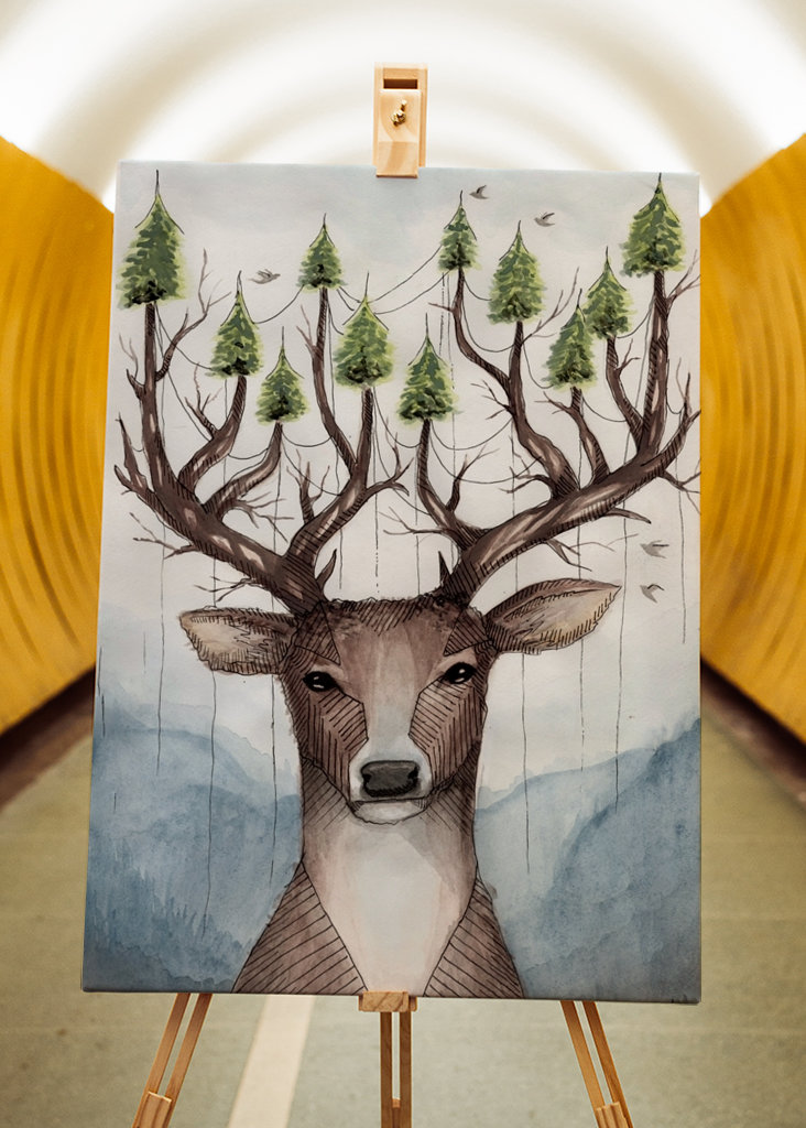 Deer with antlers