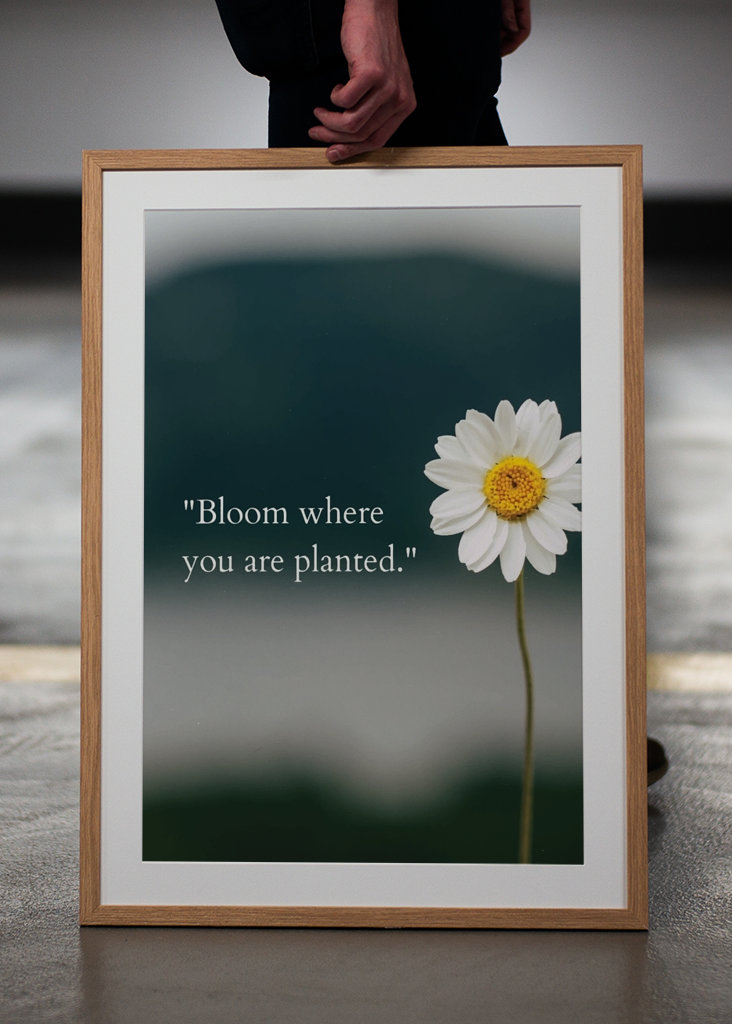 Florece donde estás plantado