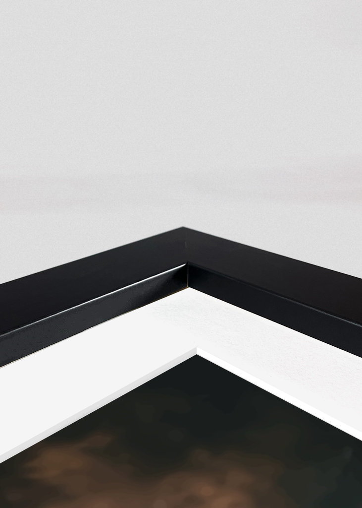 Regina della città oscura