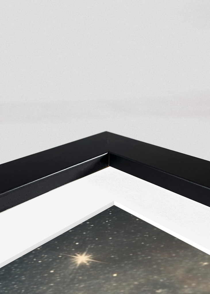 Cat in Pajamas Swinging