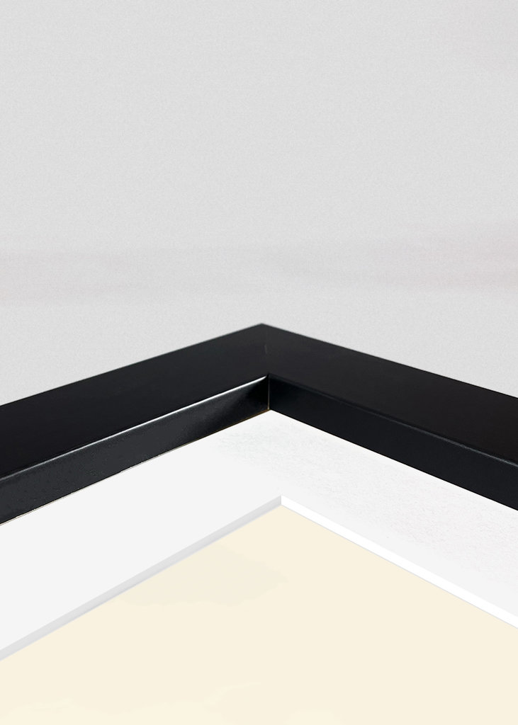 Fotocamera dell'orgoglio