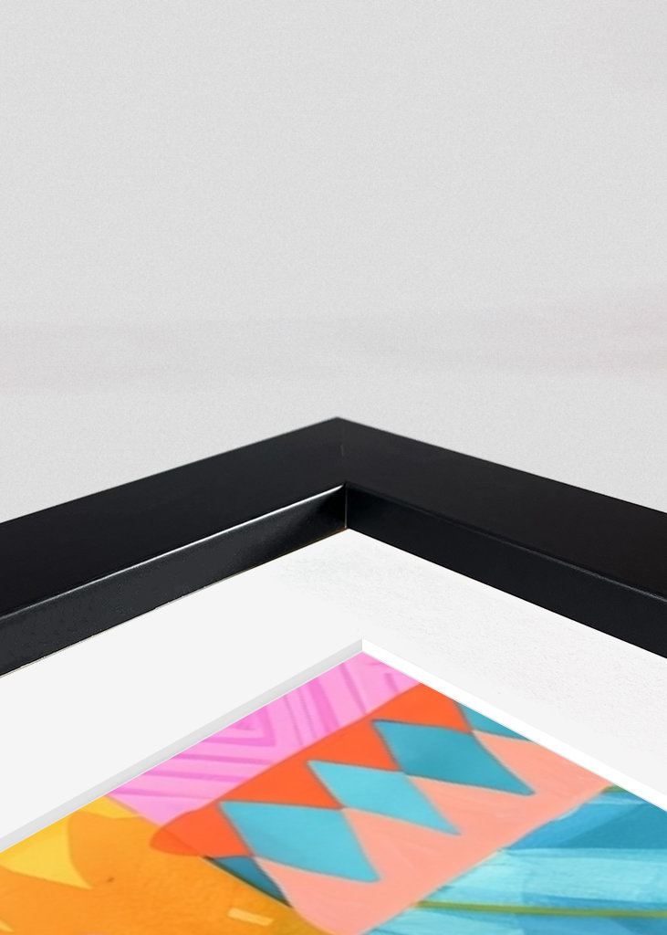 Cactus on colorful background