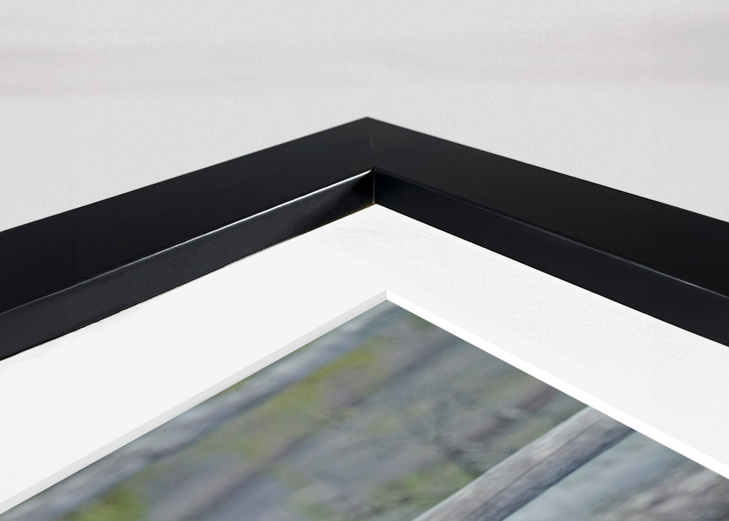 Brutus l’ours sauvage