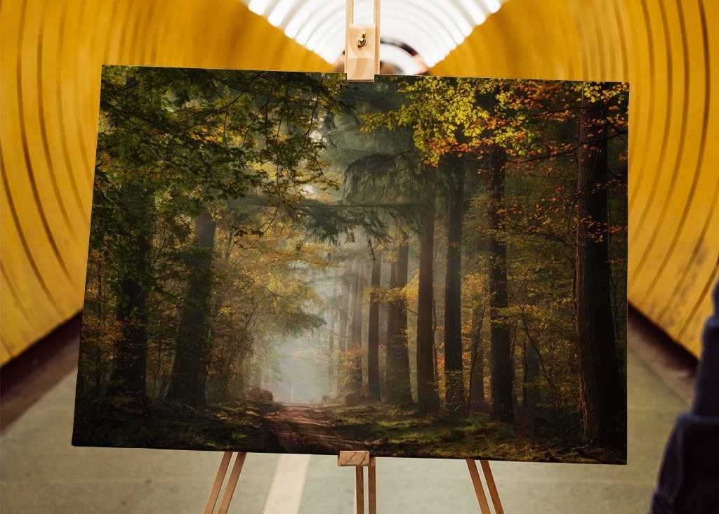 Holländischer Herbstwald