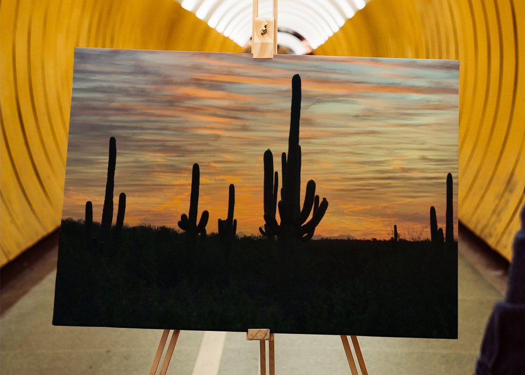 Solnedgang i ørkenen.