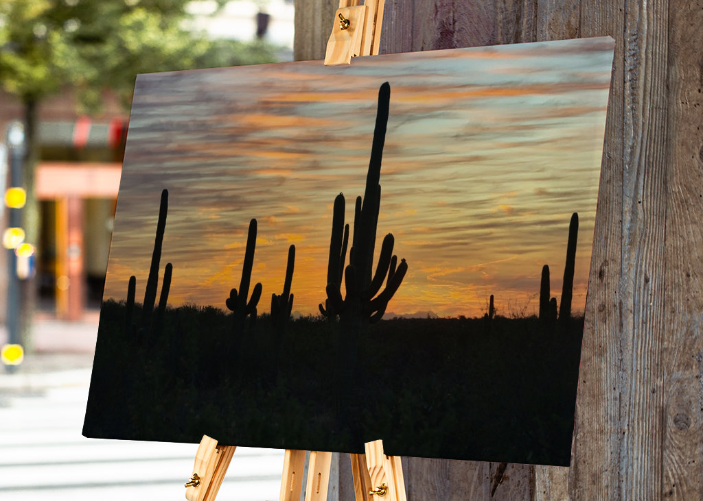 Solnedgang i ørkenen.