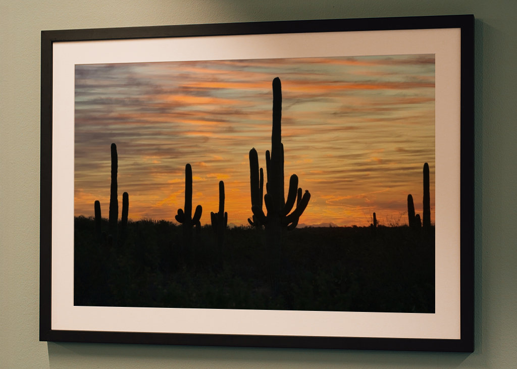 Solnedgang i ørkenen.