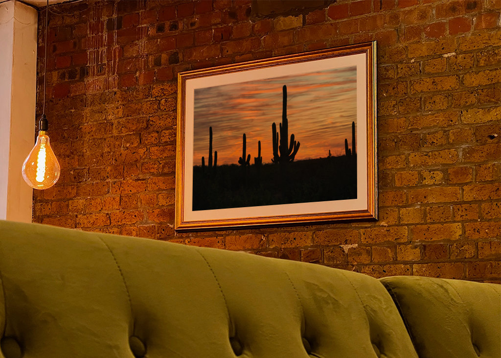 Solnedgang i ørkenen.