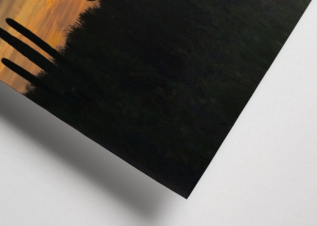 Solnedgang i ørkenen.