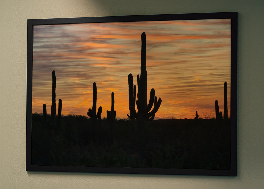 Solnedgang i ørkenen.