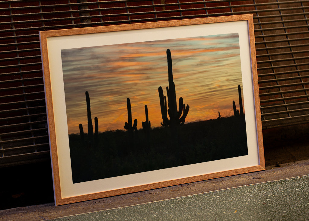 Solnedgang i ørkenen.