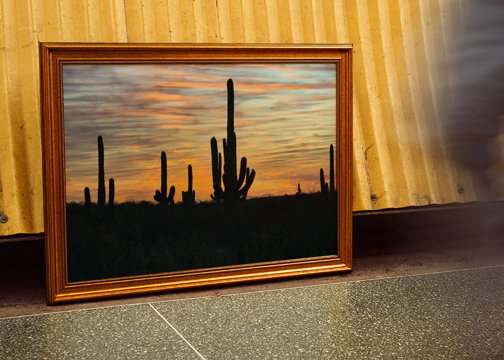 Solnedgang i ørkenen.