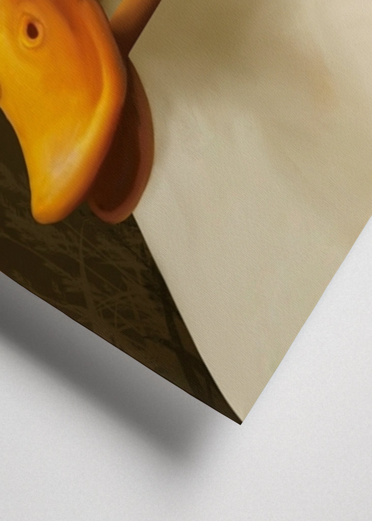 Meme de pato ahumado