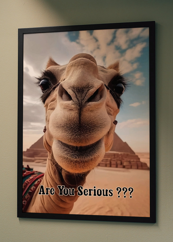 Meme del camello
