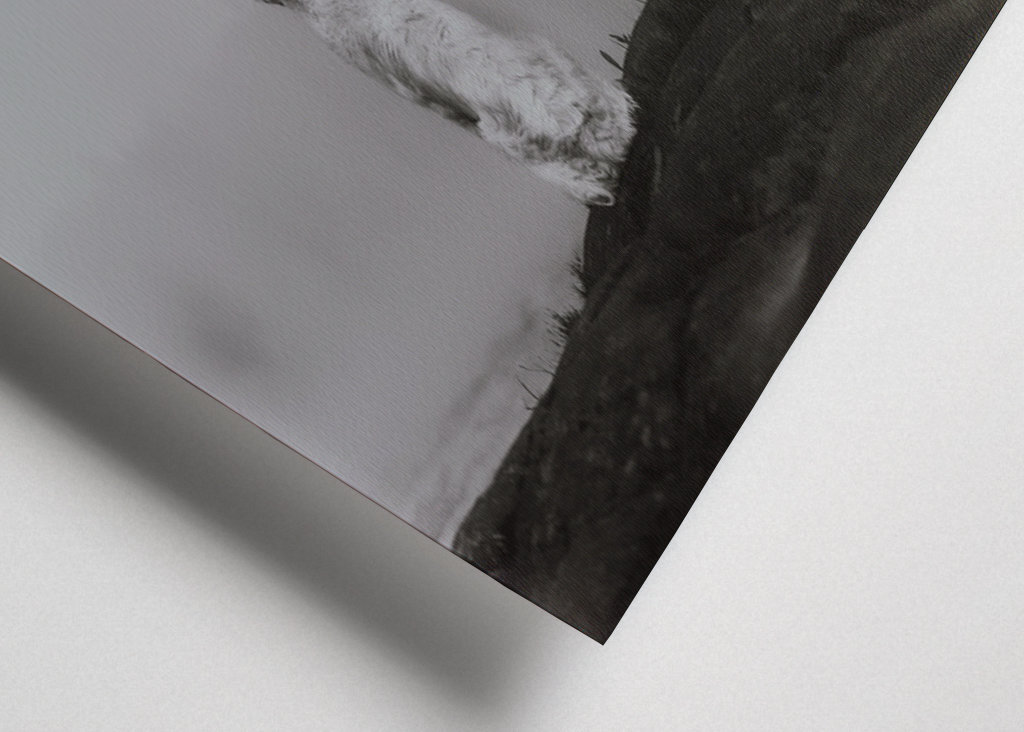 Beste Freunde auf einem Angelausflug