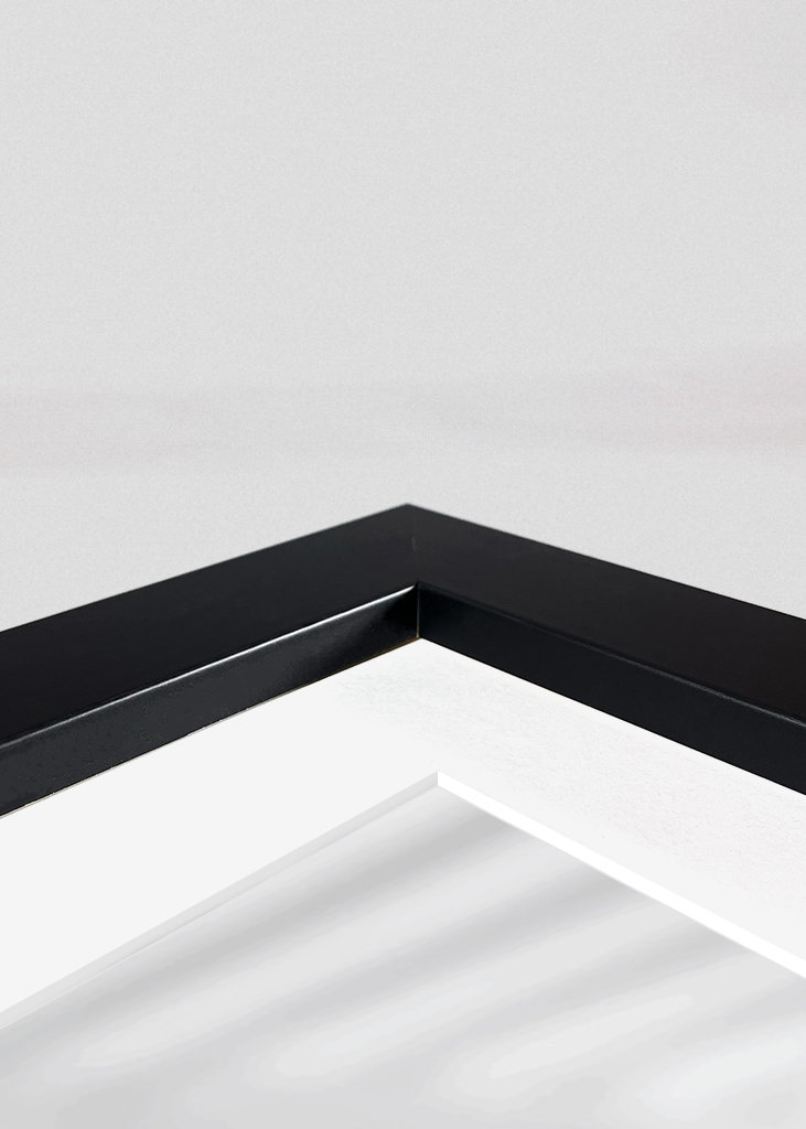 Believe in The Magic