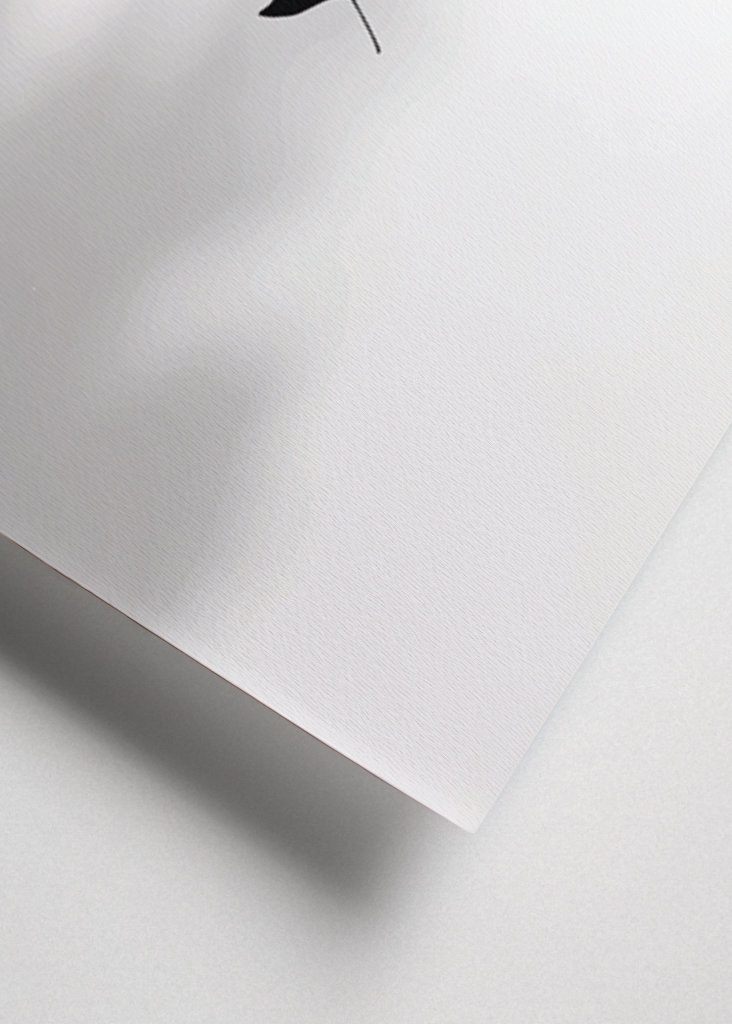 Believe in The Magic