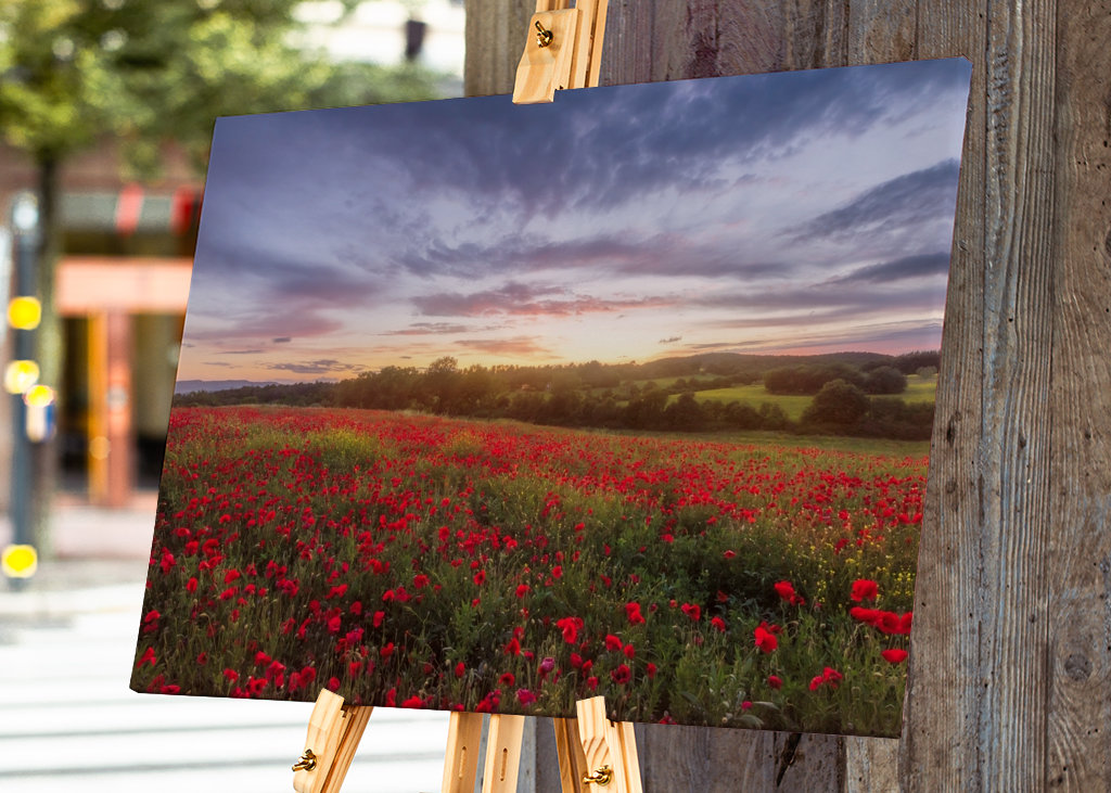 Campo de amapolas al atardecer