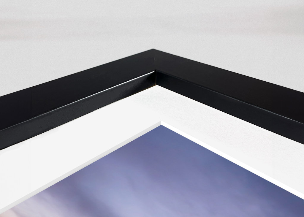 Campo de amapolas al atardecer