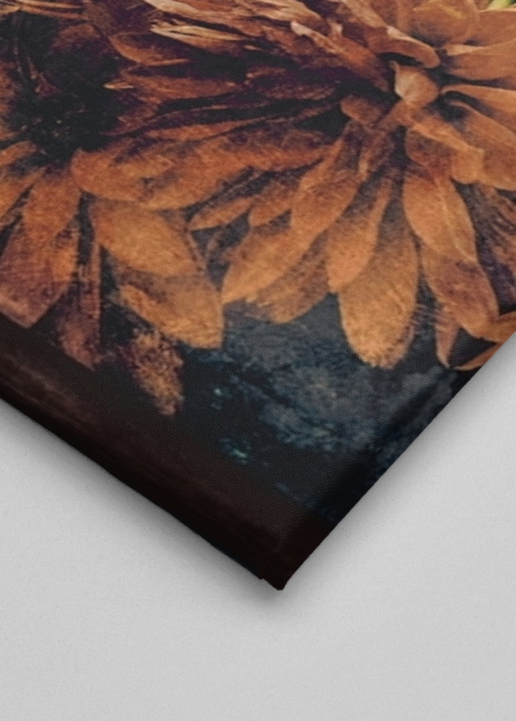 České podzimní květiny