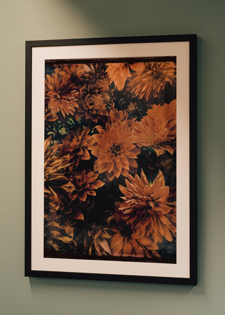 České podzimní květiny