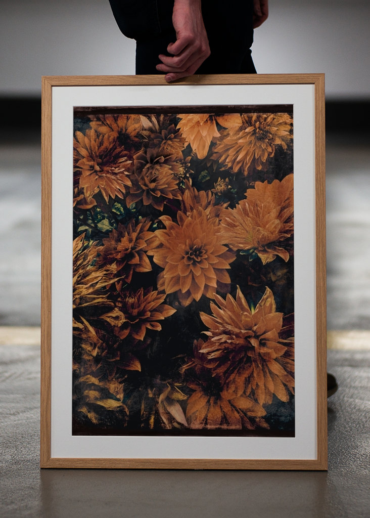 České podzimní květiny