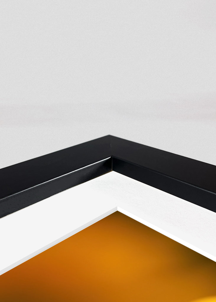 The sunflower and the fly